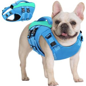 Queenmore XS Dog Life Jacket,Reflective Small Dog Life Vest for Swimming BoatingAdjustable Pet Life Vest for Extra Small Dogs with High Buoyancy,Safety Dog Swimming Vest with Handle(Blue,XS)