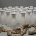 Ninehaoou 40 Pcs Plastic Bud Vases Bulk with Twine Ropes,White