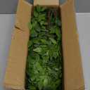 Artificial Green Plant Nantian Bamboo The Perfect 43.3 inches High Home Decoration for a Touch of Nature3Pcs Green