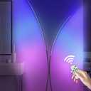 RGB Arc Floor Lamp, Dimmable Double-Light Standing Lamp, 3CCT, Remote & Foot Switch, for Living Room, Office, Bedroom, Black RB61LD05