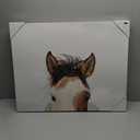 JLA Home It's In The Eyes Printed Canvas 28*22