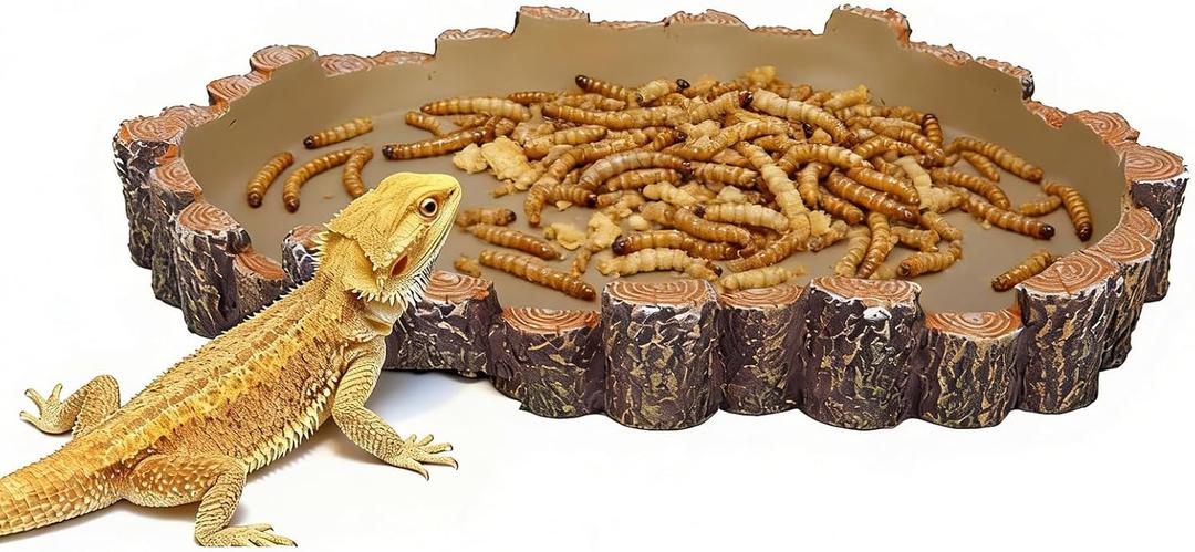 X-Large Bearded Dragon Water Dish Food Bowl, Reptile Food Dish, 9.5"x7.7"x1.4"