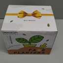 Face Planters for Indoor Outdoor Plants - Unique Face Flower Pot Head Planter Resin Succulent Planter with Drainage White