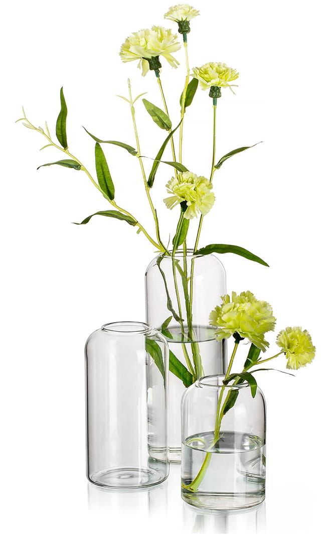 Hewory Modern Glass Bud Vase for Flower: 24PCS Blown Clear Small Vase Bulk
