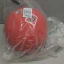 Champion Sports Playground Ball (Red, 13Inch)