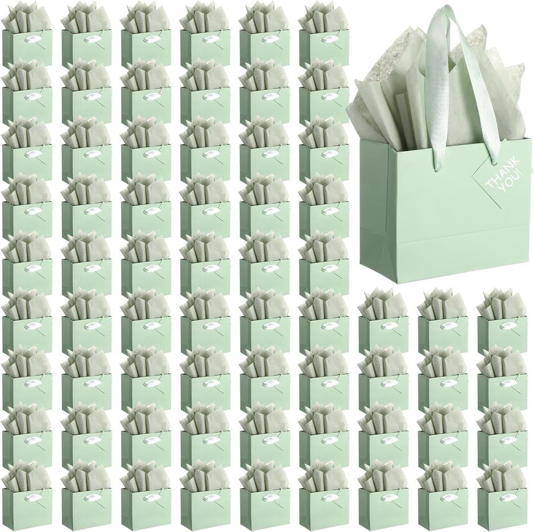 Mini Paper Gift Bags Bulk with Tissue Paper Small Gift Bags with Handle and Tags for Birthday Graduation Summer Party Business, 50 