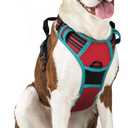 rabbitgoo Dog Harness No Pull with 2 Leash Clips, Adjustable Soft Padded, Reflective Oxford No Choke Pet Vest with Easy Control Handle for Large Dogs, Red & Teal, L