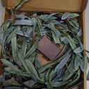 Fudios Lighted Olive Garland Battery Operated with Timer 96 LED Fairy Lights 6ft, Mantle Fireplace Vine Garland with Lights for Spring Easter Decoration Christmas Valentines Wedding Party