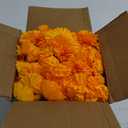 Hananona 200 Pcs Marigold Flower Heads Bulk, Silk Marigold Heads with Stems Artificial Marigold Flowers for Diwali Home Decor DIY Marigolds Garland Craft Day of Dead Decorations (200, Orange)