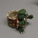 Turtle Succulent Pots with Middle Fingers Up, Middle Finger Gifts, Prank Flower Pot Resin for Indoor Outdoor