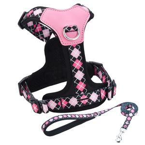 Flymind XS Dog Harness and Leash Set, No Pull Dog Harness with 2 Leash Clips, Anti-Escape Easy Walk Puppy Harness, Adjustable Dog Vest Harness for Training Walking for Small Dogs(Black, XS)