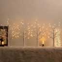Birch Tree with LED Lights Set of 4, Lighted Birch Tree Battery Powered/USB, 24 LED Warm White Tree, 2FT Small Flickering Christmas Tree Decor for Indoor Home Mantel Winter Christmas Decorations