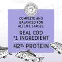 Blackwood Bounty Dry Cat Food, Cod & Carp Recipe for All Life Stages, 2 Pound Bag, High Protein, Grain Free (EXP 10/23/25)