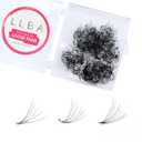 LLBA Promade Fans | Handmade Volume Eyelashes | Multi Selections From 3D To 16D | C CC D DD L M Curl | Thickness 0.03 ~ 0.1 mm | 8 - 20mm Length | Long Lasting | Easy Application (5D-0.07 D 12 mm)