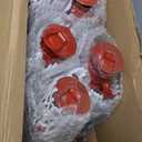 Hortsun 12 Pcs 8 Inch Vintage LED Hurricane Lantern Metal Red Outdoor Battery Operated Hanging Lantern with Warm LEDs and Dimmer Switch for Halloween Christmas Indoor Rustic Farmhouse Camping Decor