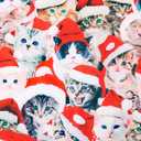 RAISEVERN Couples Christmas Matching Pajamas 2 Piece Women Men Xmas Pjs Soft Pajama Set Long Sleeve Loungewear Warm Sleepwear (Large, Christmas 03 Cat)