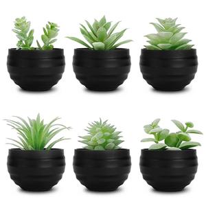Der Rose Set of 6 Succulents Plants Artificial in Pots Small Fake Plants for Halloween Decorations Bedroom Living Room Office Shelf Black Bathroom Decor