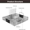 Squirrel Trap,Humane Catch and Release,Can Catch Multiple Squirrels or Chipmunks at Once
