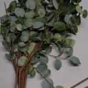 6 Pcs 27" Eucalyptus Stems Greenery Stems Eucalyptus Leaf Spray in Green Silk Plastic Plants Floral Artificial Plants for Home Party Wedding Decoration