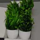 4 Pot Small Fake Plant Flowerpot Artificial Plastic Eucalyptus Plant Wheat Grass Shrub Plant Indoor Desk Coffee Table Bathroom Bedroom Home Decoration