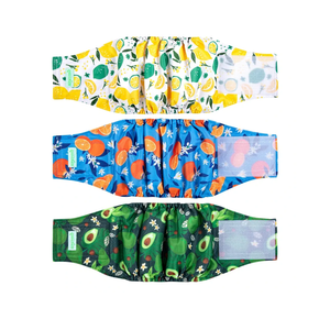 wegreeco Washable Male Dog Belly Band (Stylish Pattern)- Pack of 3 - Washable Male Dog Belly Wrap, Dog Diapers Male (Fruit, X-Small)