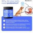 Probiotics for Dogs  Digestive & Immune Support Chews with Probiotics  Natural Gut Health Supplement for Diarrhea, Gas & Allergies (120 Count)