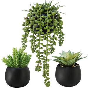 Winlyn Set of 3 Artificial Succulents Plants in Black Cement Planters Faux Potted Plants Aloe String of Pearls Donkey Tail Small House Plants 5" Tall for Table Shelf Home Office Bathroom Living Room