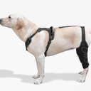 FurWell Dog Knee Brace with Adjustable Support – ACL & CCL Tear Recovery, PostSurgery Stabilization, Mobility Aid for Rear Legs – Includes Secure Chest Harness for Dogs (Both Legs, L)