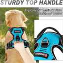 BARKBAY No Pull Dog Harness Front Clip Heavy Duty Reflective Easy Control Handle for Dog Walking (Blue,L)