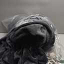 Electric Blanket Heated Blanket King Size, Super Soft Cozy Upgraded Flannel Heating Blanket Dual Control with 5 Heating Levels & 10 Hours Auto Off, Overheat Protection, 100" x 90", Lavender