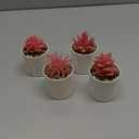 Der Rose Set of 4 Succulents Plants Artificial for Office Desk Accessories for Women Pink Home Decor, Pink 