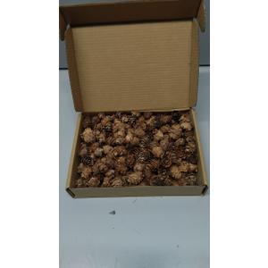 200PCS Christmas Natural Pine Cones Mini Fall Decorations Pinecones Ornaments Bulk Small Pine Cones for DIY Crafts Thanksgiving Fall Winter Christmas Wedding Decor Vase Filler Decor