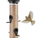 Bird Feeder Premium Hard Plastic for Wild Bird Feeders for Outdoors,Tube Bird Feeders for Outdoors Hanging,14 Inch 6 Port Black,Pack of 1