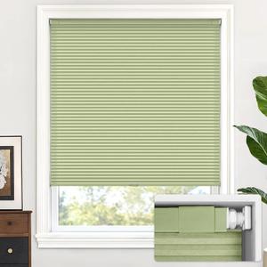 LazBlinds Cordless Cellular Shades, No Tools No Drill Light Filtering Honeycomb Shades Pleated Blinds for Windows, 29'' W x 64'' H, Green