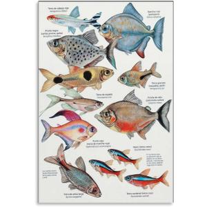JHXNJDPOST Tropical Fish Poster Fishing Aquarium Educational Knowledge Canvas Wall Art Aesthetic Decorative Painting Living Room Restaurants, Pool Halls And Classroomstyle 16x24inch(40x60cm)