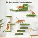 FUKUMARU Cat Wall Shelves, Stable & Safe 5 in 1 Cat Walls Furniture Set, Wooden Kitten Climbing Wall with Scratching Post for 16 Inch Drywall - Green