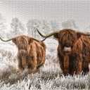 MyPuzzle Hairy Scottish Highland Cattle in A Winter Landscape - Premium 1000 Piece Jigsaw Puzzle for Adults