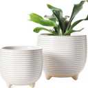 LE TAUCI Ceramic Plant Pots, 5.1 + 6.4 Inch Footed Pots for Plants, Modern Flower Pots for Home and Office, Indoor Planters with Drainage, Reactive Glaze White