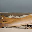 52 inch Ceiling Fans with Lights and Remote Control,Wall Switch,Solid Wood Blades,Dimmable,Reversible Noiseless,Power Off Memory Modern Black Ceiling Fan for Bedroom Patio Indoor/Outdoor Use