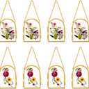 Qunclay 8 Pcs Glass Frame for Pressed Flowers 3.5 x 2.5 Inch Brass Hanging Photo Frame with Chain Arched Double Floating Picture Frames for Artwork Display DIY Dried Plant Specimen(Gold)