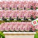 22 Pack Artificial Flowers Outdoor Fake Plants, Faux Flowers UV Resistant with Plastic Plants, Faux Silk Flowers for Outdoors Outside Front Porch Hanging Planter Window Box Garden Decoration(Pink)