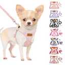 SlowTon No Pull Dog Harness with Leash - Soft Lightweight Floral Pattern Puppy Harness, Adjustable Pet Harness for Small Medium Dogs (Pink Daisy XXS)