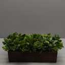 Winlyn 14" Artificial Boxwood Plants in Rectangular Wood Planter Farmhouse Greenery Arrangement Centerpiece Faux Potted Herb Plant for Wedding Dining Room Table Kitchen Windowsill Mantel Shelf Dcor