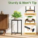 LASZOLA Metal Large Plant Stand for Indoor Plants, Morden Corner Plant Holder Rack, Sturdy Vertical Single Flower Shelf for Living Room Bedroom Patio Garden Balcony, Black