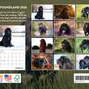 Newfoundland Calendar 2026 Newfie Monthly Wall Calender 12 Month | American Made In The USA