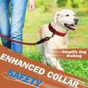 6 FT Red Strong Rope Dog Leash with Comfortable - Padded Handle Heavy Duty Loop Leash | Highly Reflective No Pull Pet Training Threads Leashs for Medium Large Dogs