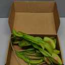 3 Pcs Artificial Venus Flytrap Plants Lifelike Carnivorous Venus Flytrap Plants for Halloween Home Garden Office Decorations