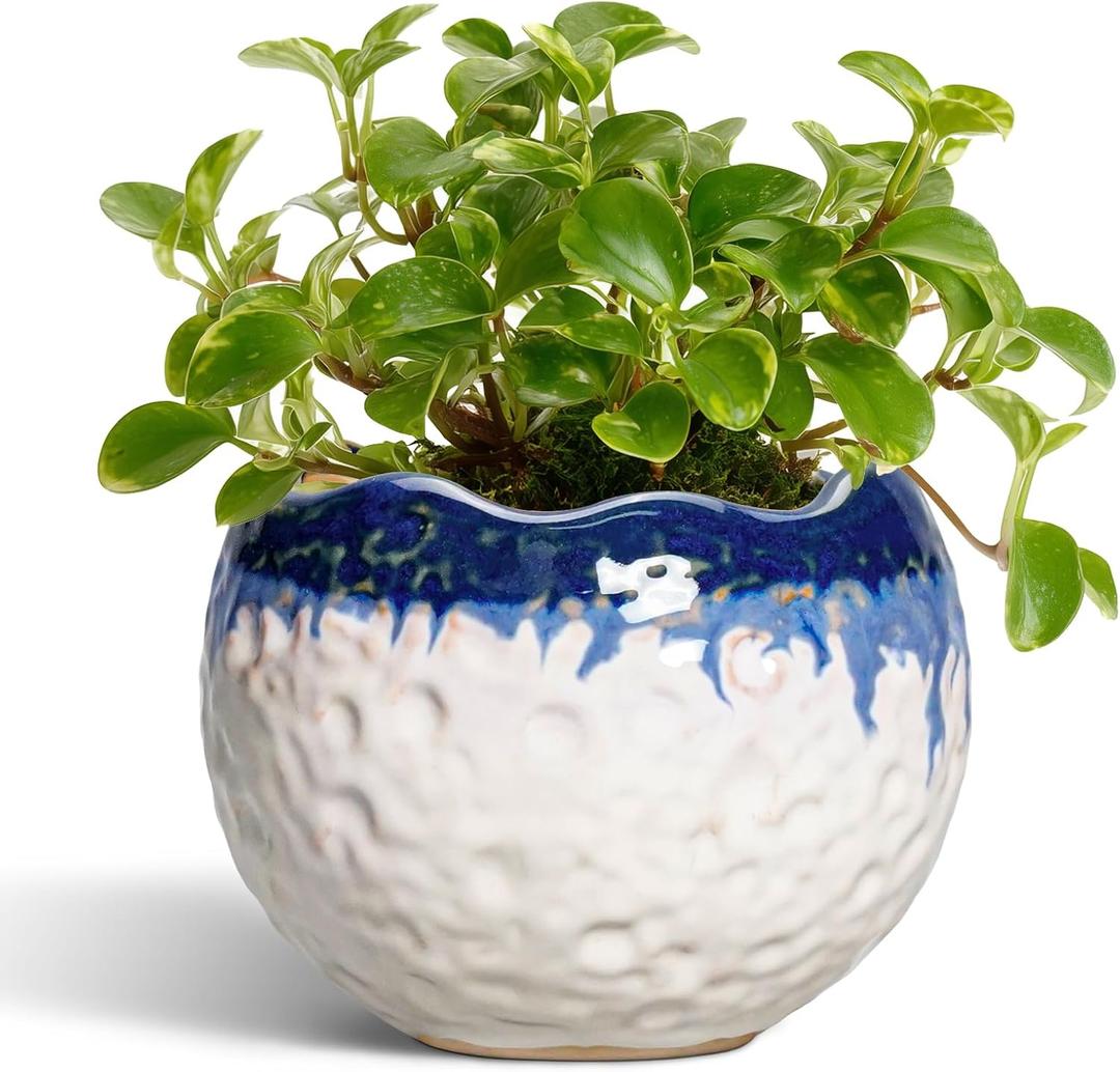 4 Inch Plant Pots - Ceramic Pots for Plants with Drainage Hole and Plug, Round Planters for Indoor Outdoor Plants, Modern Unique Flower Pots, Home Living Room Decor, Garden Gift, Beige-Blue