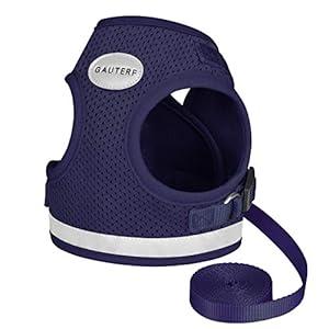 GAUTERF Kitten Harness, Puppy Harness, Universal Harness with Leash Set, Adjustable Outdoor Small Dog Vest Harnesses, Reflective Breathable Material Escape Proof Cat Harnesses