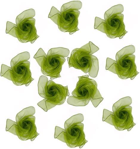 Dance Scarves 12 Pcs Juggling Scarves for Kids Play Silk Scarve for Babies Toddlers Children Movement Learning Education Musical Accessories Colorful Scarfs Magic Tricks Performance (Army Green) Pack Of 2